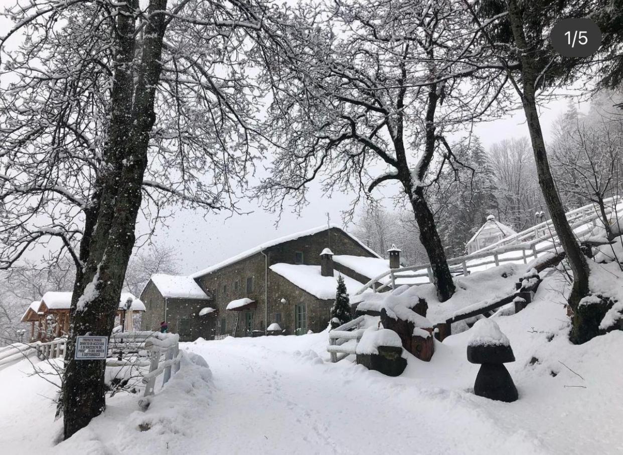 Apartamento Agriturismo Al Castagno Abetone Exterior foto